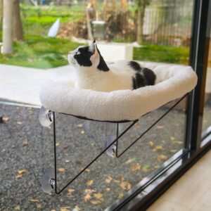 Zakkart Window Perch with Metal Support